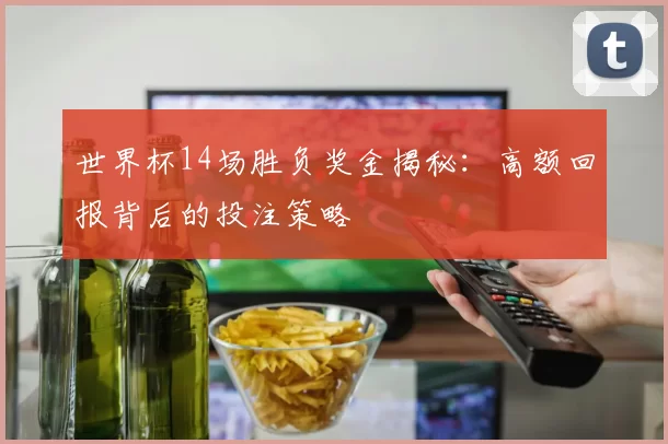 世界杯14场胜负奖金揭秘:高额回报背后的投注策略