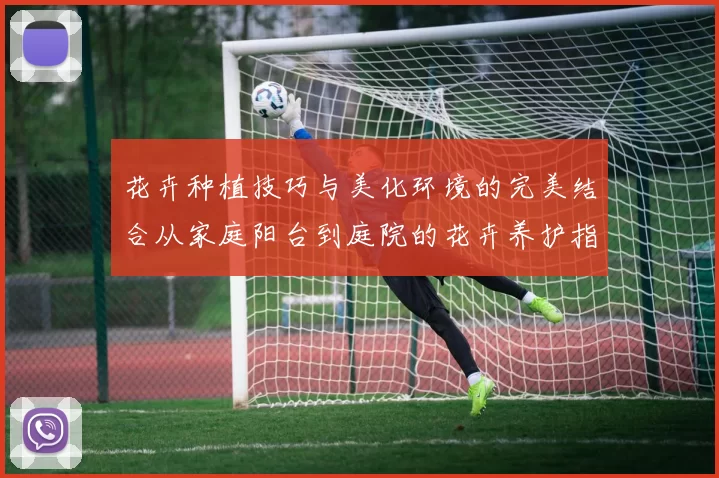 花卉种植技巧与美化环境的完美结合从家庭阳台到庭院的花卉养护指南