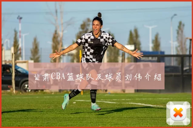 甘肃CBA篮球队及球员刘伟介绍