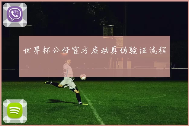 世界杯公仔官方启动真伪验证流程