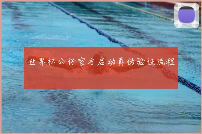 世界杯公仔官方启动真伪验证流程
