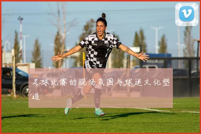 足球比赛的现场氛围与球迷文化塑造