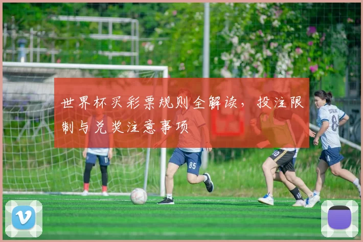世界杯买彩票规则全解读,投注限制与兑奖注意事项