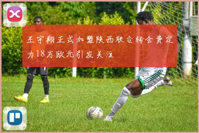 王宇翔正式加盟陕西联合转会费定为18万欧元引发关注