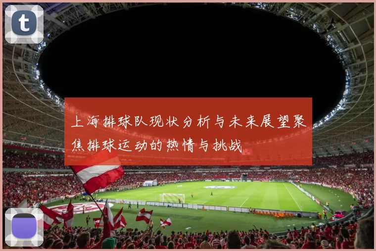 上海排球队现状分析与未来展望聚焦排球运动的热情与挑战