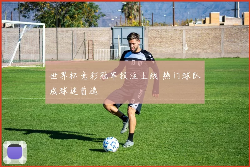 世界杯竞彩冠军投注上线 热门球队成球迷首选