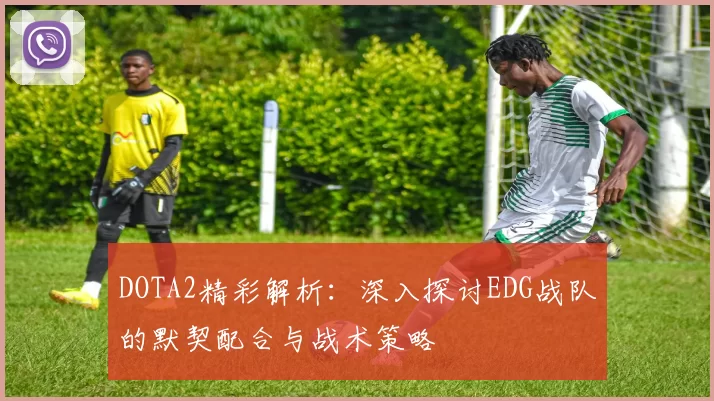DOTA2精彩解析:深入探讨EDG战队的默契配合与战术策略