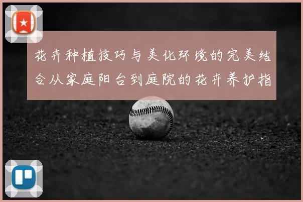 花卉种植技巧与美化环境的完美结合从家庭阳台到庭院的花卉养护指南