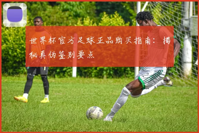 世界杯官方足球正品购买指南：揭秘真伪鉴别要点