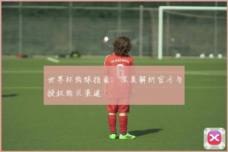 世界杯购球指南：深度解析官方与授权购买渠道