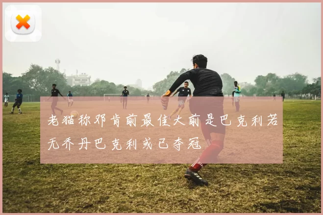 老猫称邓肯前最佳大前是巴克利若无乔丹巴克利或已夺冠