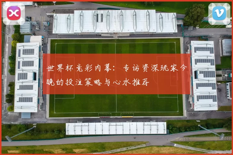 世界杯竞彩内幕:专访资深玩家今晚的投注策略与心水推荐