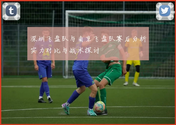 深圳飞盘队与南京飞盘队赛后分析实力对比与战术探讨