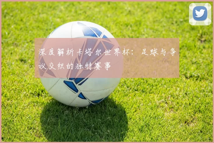 深度解析卡塔尔世界杯:足球与争议交织的独特赛事