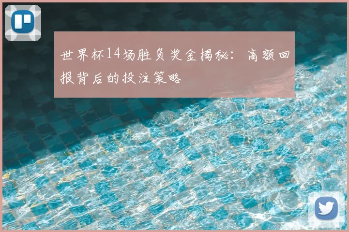世界杯14场胜负奖金揭秘:高额回报背后的投注策略
