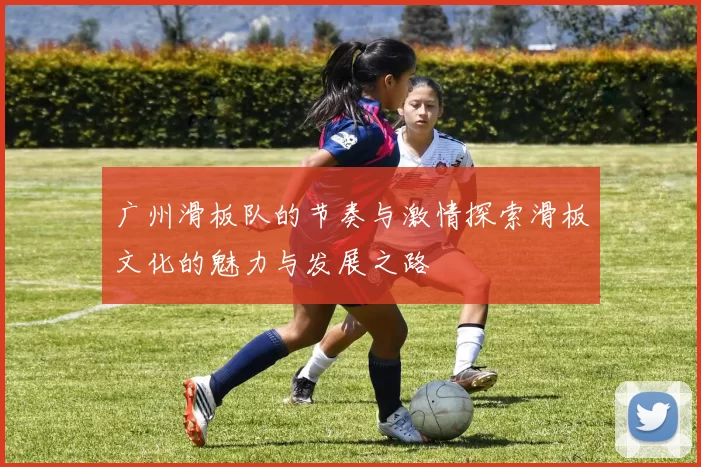 广州滑板队的节奏与激情探索滑板文化的魅力与发展之路
