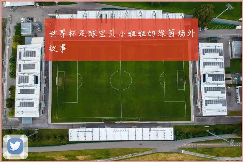 世界杯足球宝贝小姐姐的绿茵场外故事