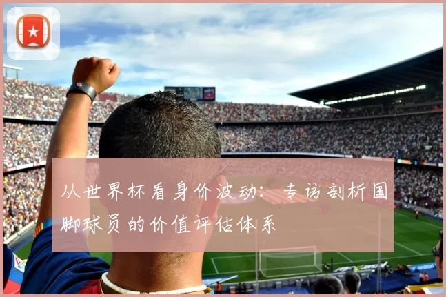 从世界杯看身价波动：专访剖析国脚球员的价值评估体系