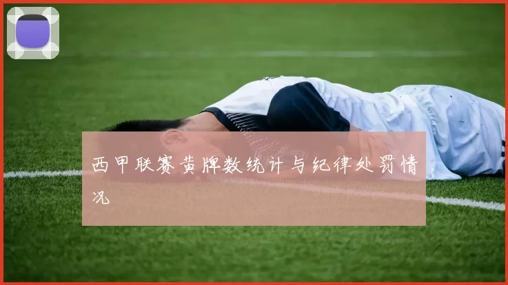 西甲联赛黄牌数统计与纪律处罚情况