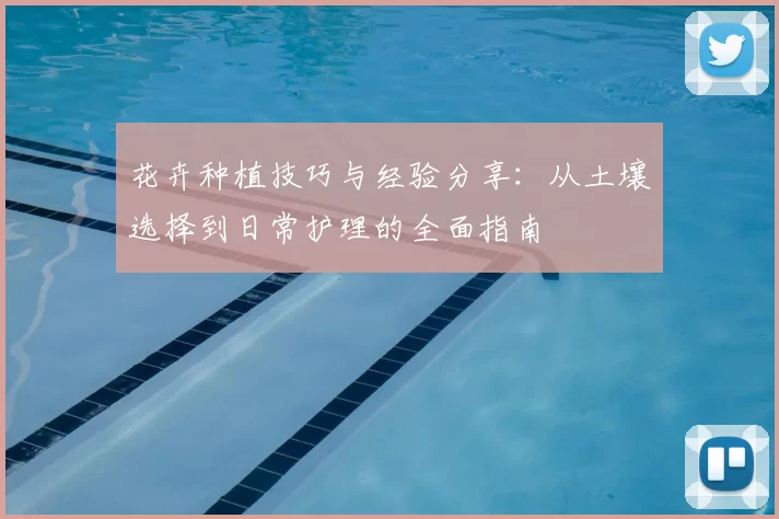 花卉种植技巧与经验分享：从土壤选择到日常护理的全面指南