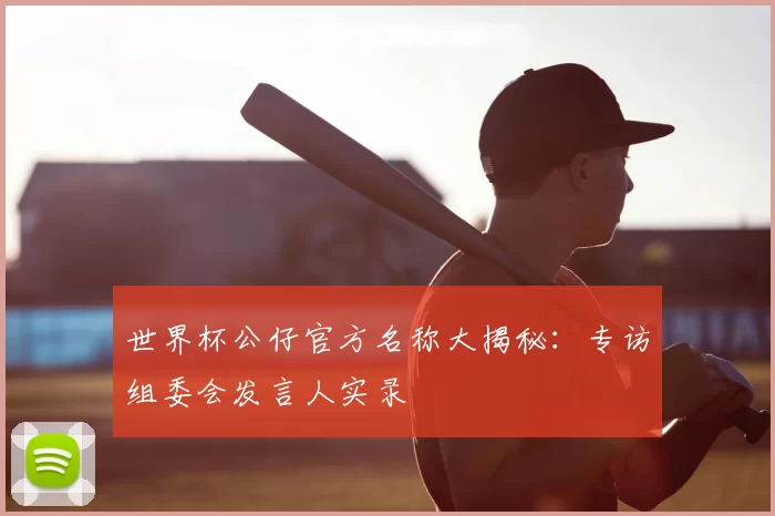 世界杯公仔官方名称大揭秘:专访组委会发言人实录