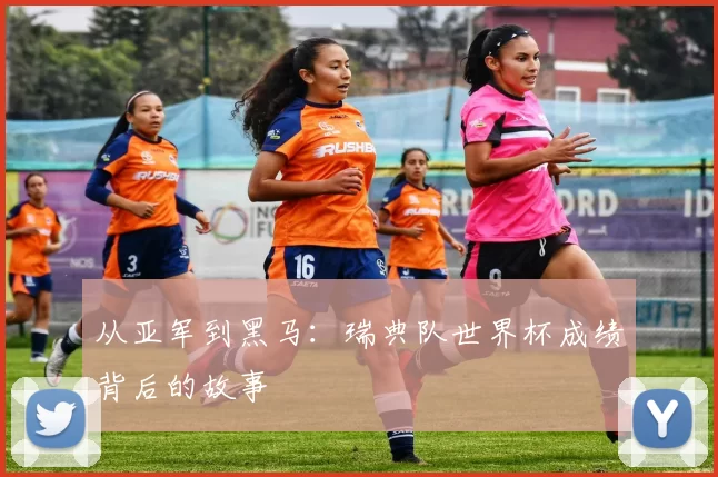 从亚军到黑马:瑞典队世界杯成绩背后的故事