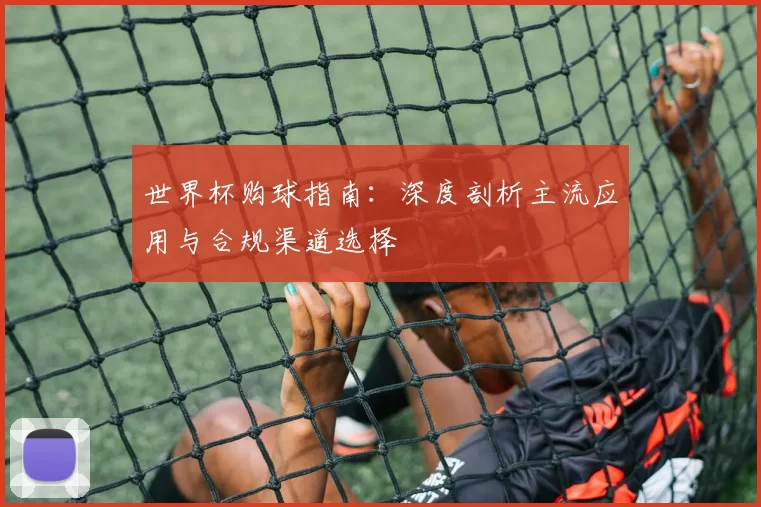 世界杯购球指南：深度剖析主流应用与合规渠道选择