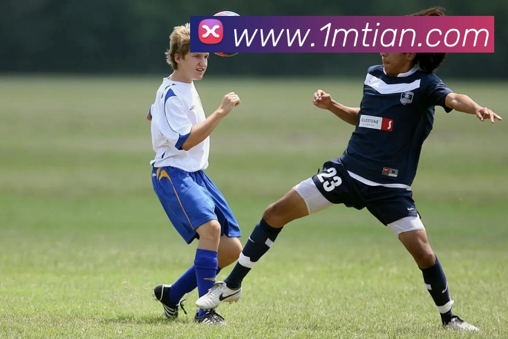 亚新官网品牌故事