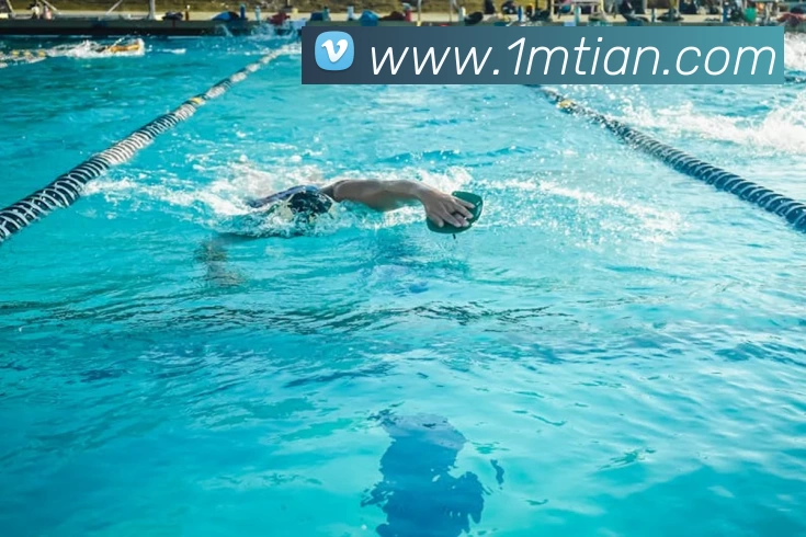 亚新官网服务体系